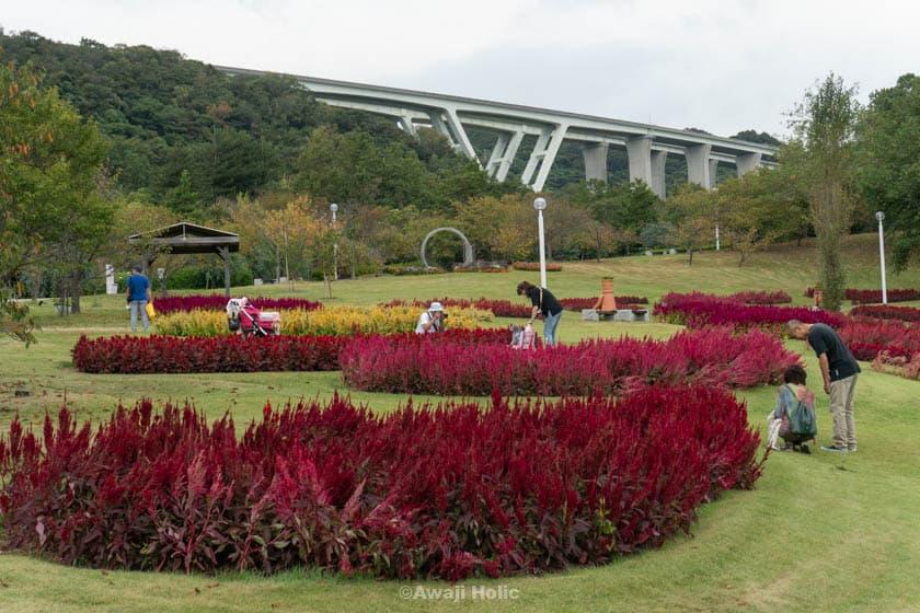 Awaji Island National Akashi Kaikyo Park Flower Garden