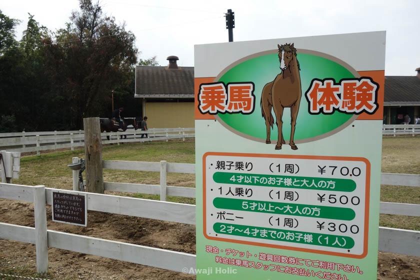 Horseback Riding Experience at Awaji Farm Park England Hill