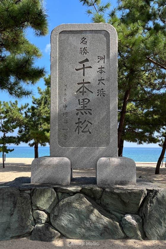 Guide to the Thousand Black Pines of Ohama Beach