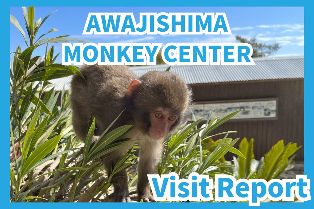 Awajishima Monkey Center Report Thumnail